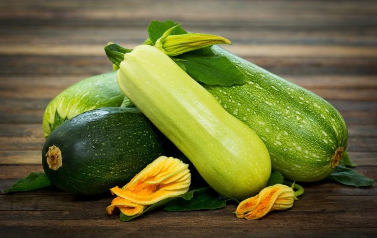 Сорт самых вкусных кабачков Сорт самых вкусных кабачков