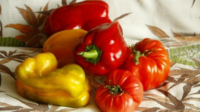 Посадка томатов и перцев на рассаду
