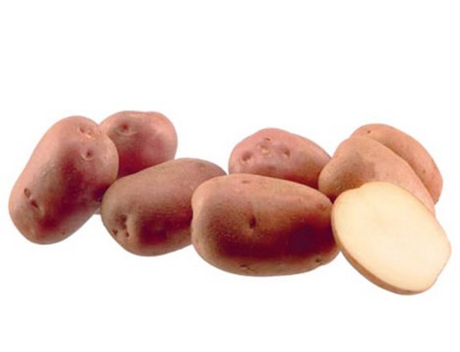 Какие сорта картофеля самые вкусные и урожайные