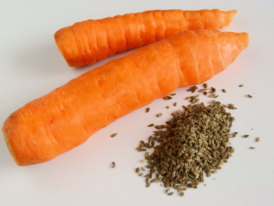 Обработка семян моркови перед посадкой для быстрых всходов