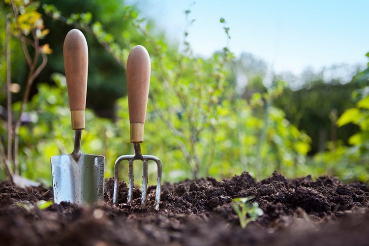 Как определить, кислая или щелочная почва на вашем огороде
