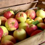 Как хранить яблоки зимой в домашних условиях