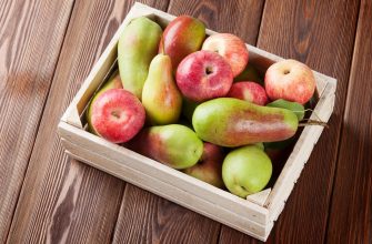Осенняя подкормка яблонь и груш