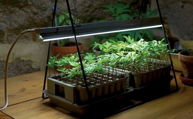 Лампа для выращивания рассады в домашних условиях