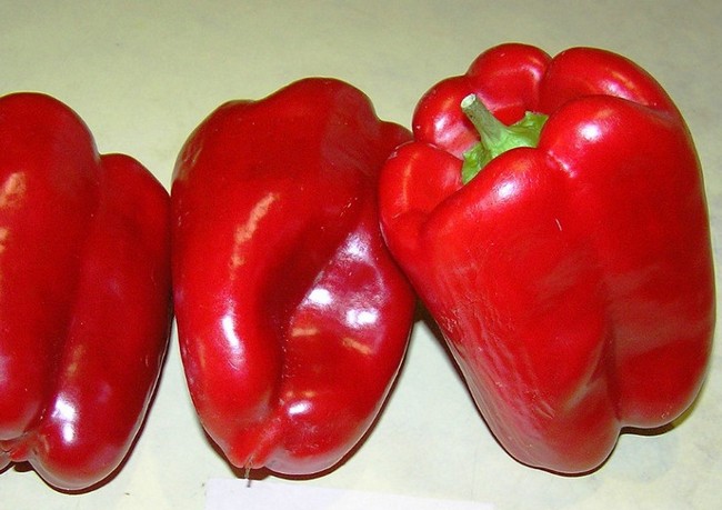 Сорта перцев для открытого грунта в Средней полосе