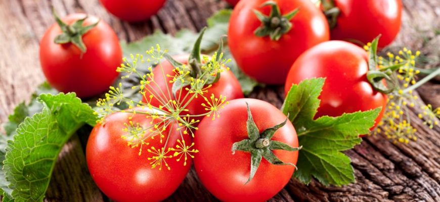 Выращивание рассады томатов в пеленках от Галины Кизимы