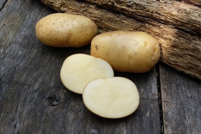Самый урожайный сорт картофеля для Средней полосы 