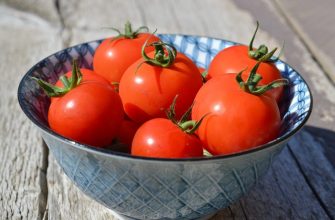 Семена томатов Сибирский Сад каталог с описанием