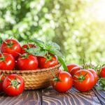 Семена томатов фирмы партнер каталог помидор с описанием