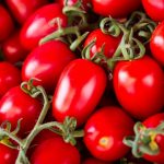 Какие семена помидор самые лучшие для открытого грунта отзывы