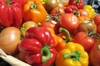 Подкормка рассады томатов и перца народными средствами