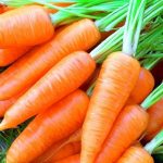 Посадка моркови весной в открытый грунт без прореживания