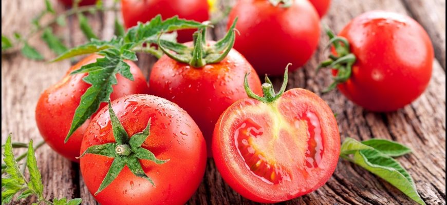 Пикировка рассады томатов в апреле 2019 по лунному календарю