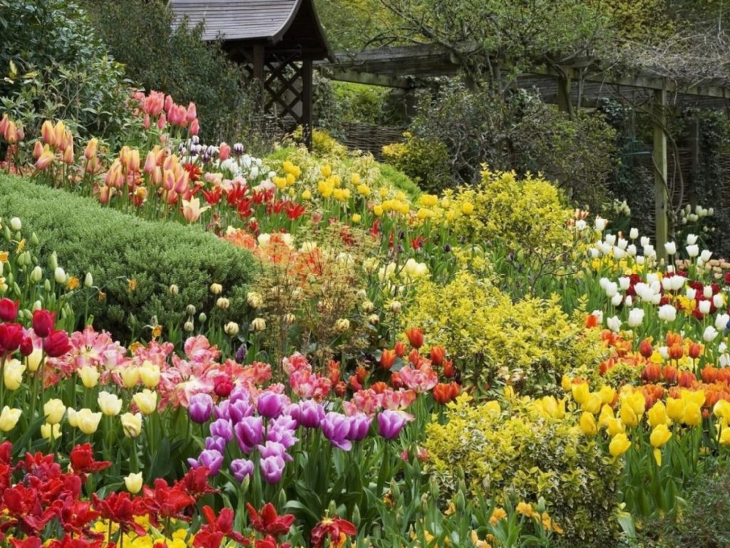 Лунный календарь цветовода на апрель 2019 года для комнатных растений
