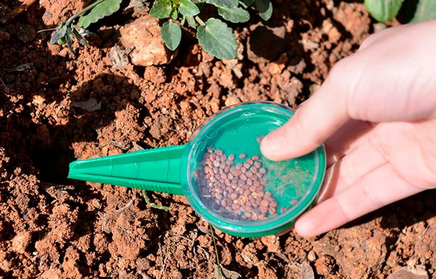 Ручная сеялка для мелких семян: как сделать своими руками из пластиковойбутылки